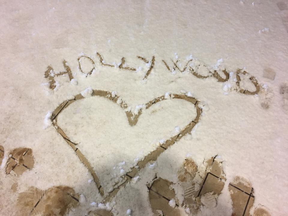 hollywood cafe